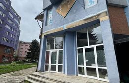 Afacere la cheie de inchiriat, ideal pentru domeniul HoReCa, 44, 08 mp, Bistrita