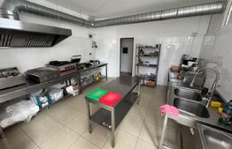 Afacere la cheie de inchiriat, ideal pentru domeniul HoReCa, 44, 08 mp, Bistrita