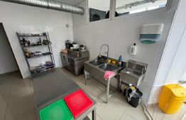 Afacere la cheie de inchiriat, ideal pentru domeniul HoReCa, 44, 08 mp, Bistrita