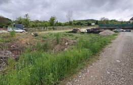 Teren intravilan de vanzare, pentru casa, 541 mp, zona Valea Jelnei