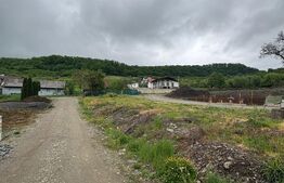 Teren intravilan de vanzare, pentru casa, 541 mp, zona Valea Jelnei