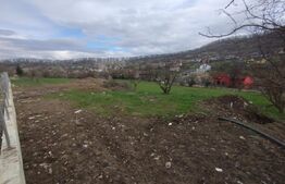 Teren intravilan de vanzare, 2200 mp (22 ari), utilitati, zona Valea Jelnei