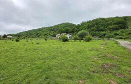 Teren intravilan de vanzare, 14,5 ari, zona Sud-Bistrita