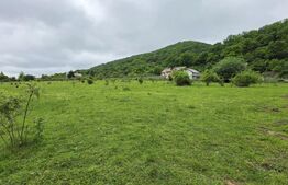 Teren intravilan de vanzare, 14,5 ari, zona Sud-Bistrita, Viisoara