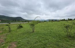 Teren intravilan de vanzare, 14,5 ari, zona Sud-Bistrita, Viisoara
