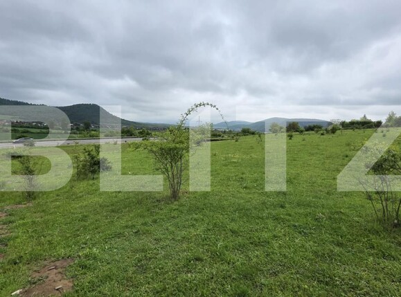 Teren de vânzare Sud - 170160TV | BLITZ Bistriţa | Poza4
