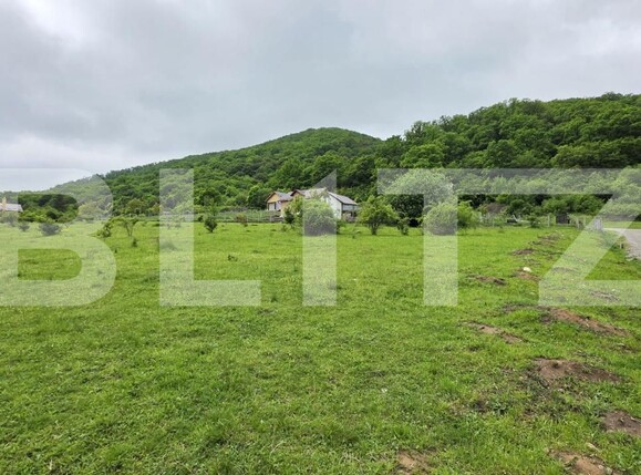 Teren de vânzare Sud - 170160TV | BLITZ Bistriţa | Poza3