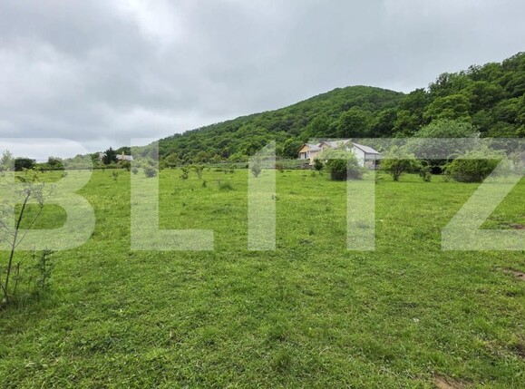 Teren de vânzare Sud - 170160TV | BLITZ Bistriţa | Poza1