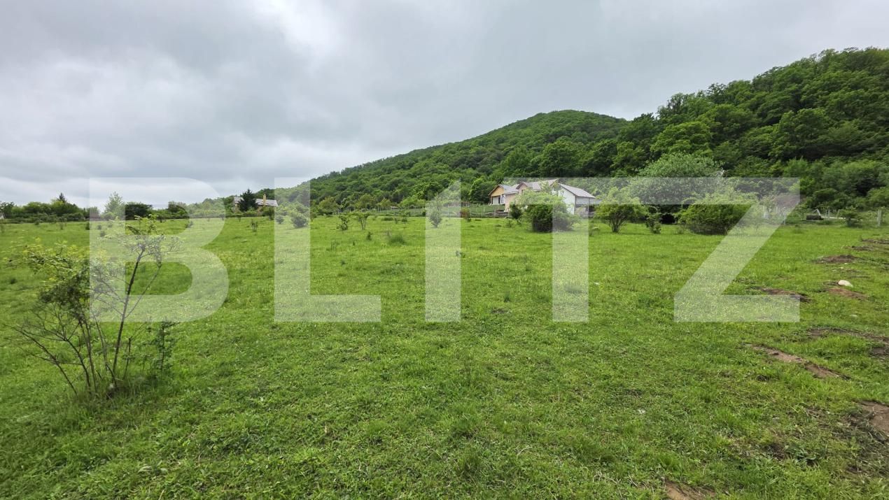 Teren de vânzare Sud - 170160TV | BLITZ Bistriţa | Poza2