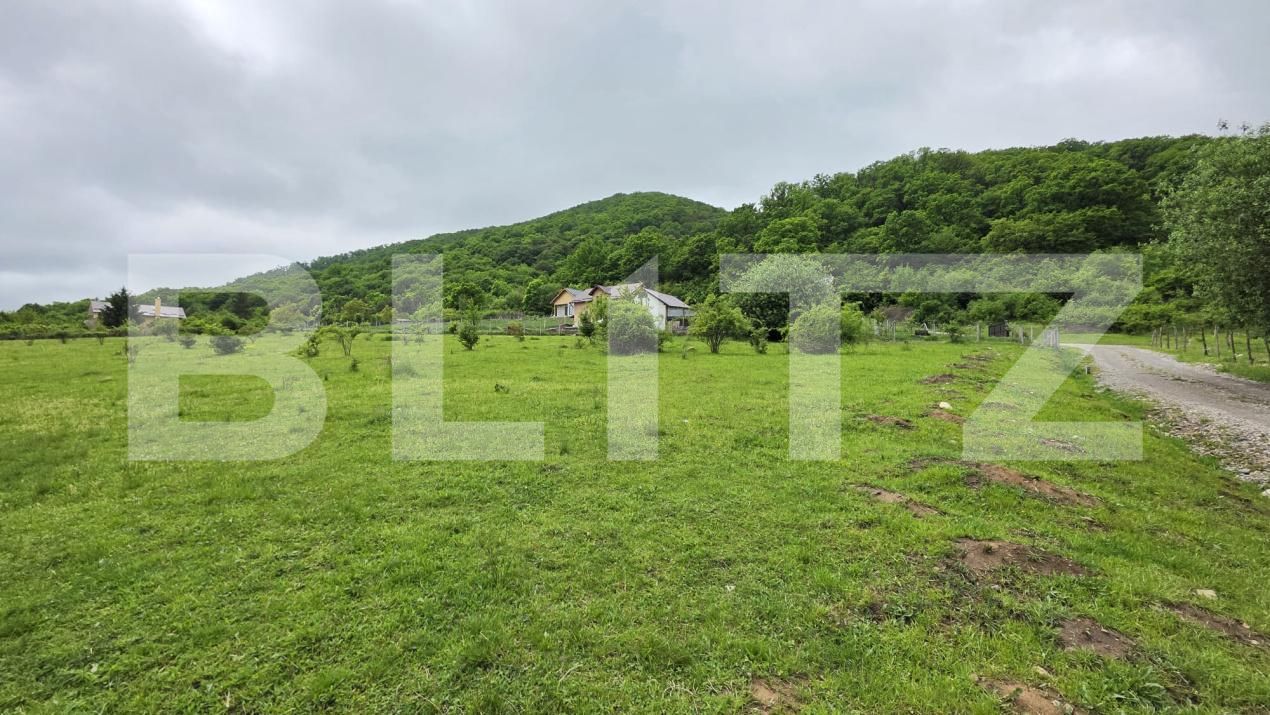 Teren de vânzare Sud - 170160TV | BLITZ Bistriţa | Poza3