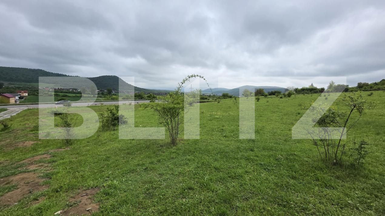 Teren de vânzare Sud - 170160TV | BLITZ Bistriţa | Poza4