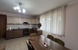 Casa de vanzare, pretabil pentru pensiune/azil, 7 camere, 420 mp, Bistrita