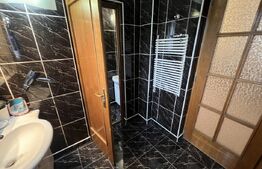 Casa de vanzare, pretabil pentru pensiune/azil, 7 camere, 420 mp, Bistrita