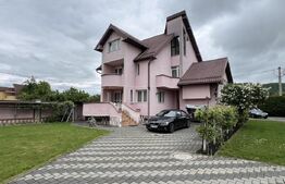 Casa de vanzare, pretabil pentru pensiune/azil, 7 camere, 420 mp, Bistrita