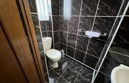 Casa de vanzare, pretabil pentru pensiune/azil, 7 camere, 420 mp, Bistrita