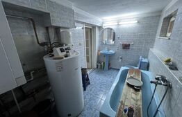 Casa de vanzare, pretabil pentru pensiune/azil, 7 camere, 420 mp, Bistrita