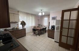 Casa de vanzare, pretabil pentru pensiune/azil, 7 camere, 420 mp, Bistrita