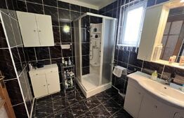 Casa de vanzare, pretabil pentru pensiune/azil, 7 camere, 420 mp, Bistrita