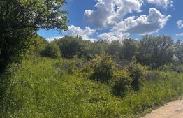 Teren extravilan de vanzare, 2500 mp, zona Valea Sigmirului