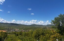 Teren extravilan de vanzare, 2500 mp, zona Valea Sigmirului