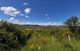 Teren extravilan de vanzare, 2500 mp, zona Valea Sigmirului