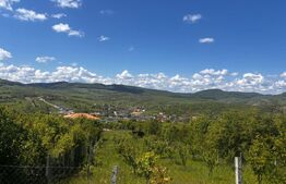 Teren extravilan de vanzare, 2500 mp, zona Valea Sigmirului