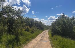 Teren extravilan de vanzare, 2500 mp, zona Valea Sigmirului