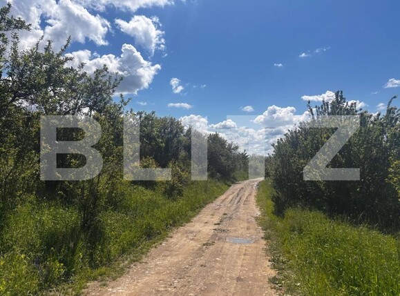 Teren de vânzare Sud-Est - 170366TV | BLITZ Bistriţa | Poza1