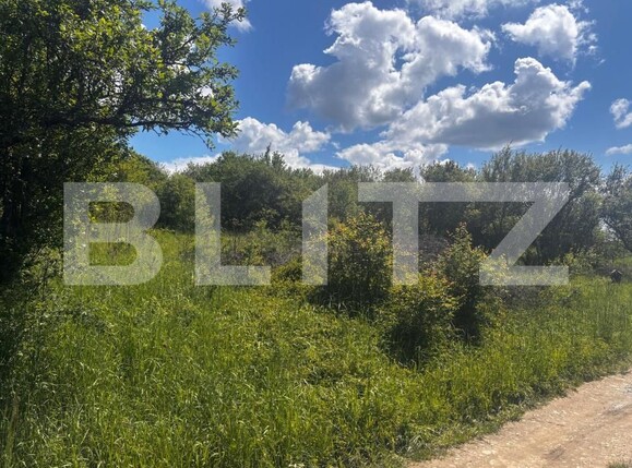 Teren de vânzare Sud-Est - 170366TV | BLITZ Bistriţa | Poza3