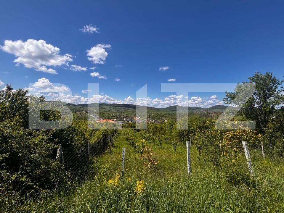 Teren de vânzare Sud-Est - 170366TV | BLITZ Bistriţa | Poza4