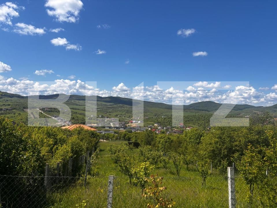 Teren de vânzare Sud-Est - 170366TV | BLITZ Bistriţa | Poza5