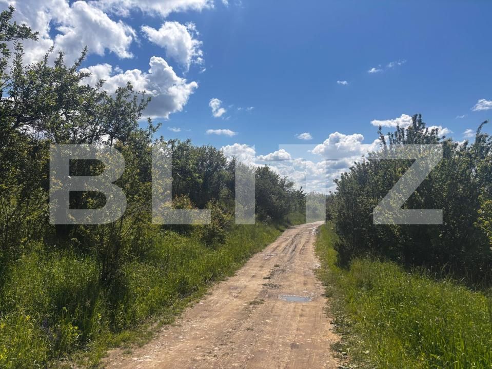 Teren de vânzare Sud-Est - 170366TV | BLITZ Bistriţa | Poza1