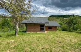 Casa la rosu, cu 3 camere, 74 mp,  teren 800 mp, zona Centura, Bistrita