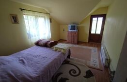Cabana 3 cam,2 nivele 100 mp+teren extravilan 2,5 ha+1 ha padure, langa Nasaud