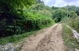 Cabana 3 cam,2 nivele 100 mp+teren extravilan 2,5 ha+1 ha padure, langa Nasaud