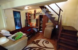 Cabana 3 cam,2 nivele 100 mp+teren extravilan 2,5 ha+1 ha padure, langa Nasaud