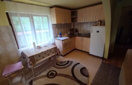 Cabana 3 cam,2 nivele 100 mp+teren extravilan 2,5 ha+1 ha padure, langa Nasaud