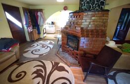 Cabana 3 cam,2 nivele 100 mp+teren extravilan 2,5 ha+1 ha padure, langa Nasaud