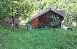 Cabana 3 cam,2 nivele 100 mp+teren extravilan 2,5 ha+1 ha padure, langa Nasaud