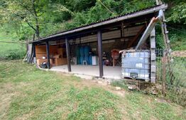 Cabana 3 cam,2 nivele 100 mp+teren extravilan 2,5 ha+1 ha padure, langa Nasaud