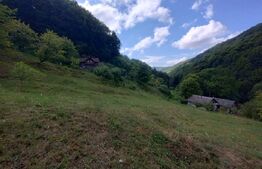 Cabana 3 cam,2 nivele 100 mp+teren extravilan 2,5 ha+1 ha padure, langa Nasaud