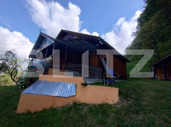 Casa de vânzare 3 camere Nasaud - 170461CV | BLITZ Bistriţa | Poza3