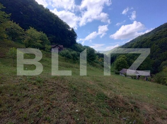 Casa de vânzare 3 camere Nasaud - 170461CV | BLITZ Bistriţa | Poza11