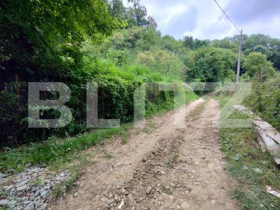 Casa de vânzare 3 camere Nasaud - 170461CV | BLITZ Bistriţa | Poza12
