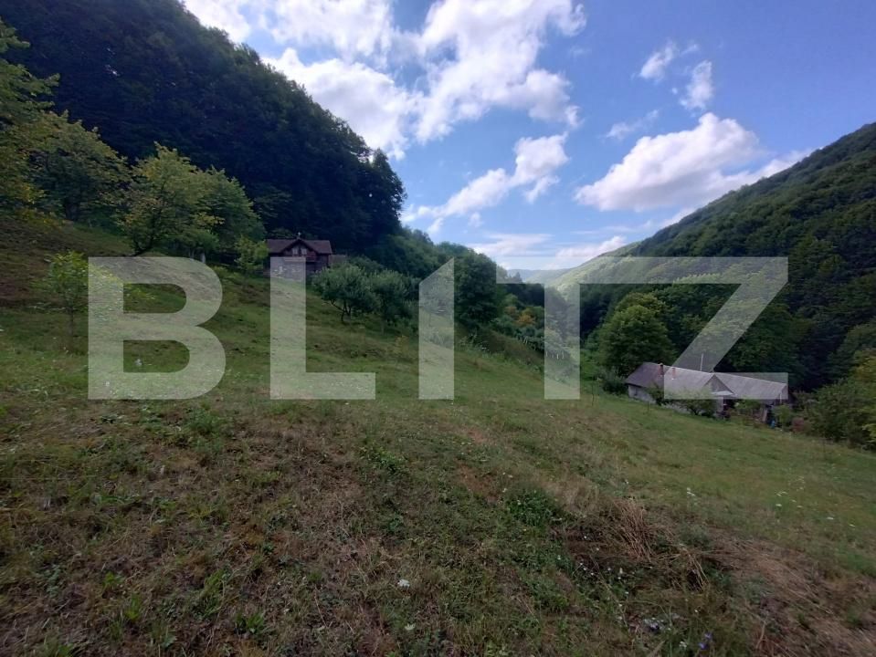 Casa de vânzare 3 camere Nasaud - 170461CV | BLITZ Bistriţa | Poza11