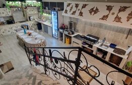 Casa exclusivistă cu 4 dormitoare, 390 mp utili, zona Calea Moldovei