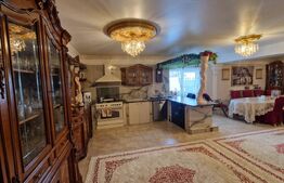 Casa exclusivistă cu 4 dormitoare, 390 mp utili, zona Calea Moldovei