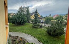 Casă individuală de vânzare, 250 mp utili, teren 1200 mp, zona Unirea