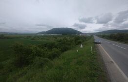 Teren extravilan de vanzare, 51 ari, zona Crainimat