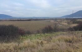 Teren 51 de ari la Drumul european